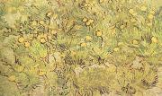 Vincent Van Gogh A Field of Yellow Flowers (nn04) oil painting reproduction